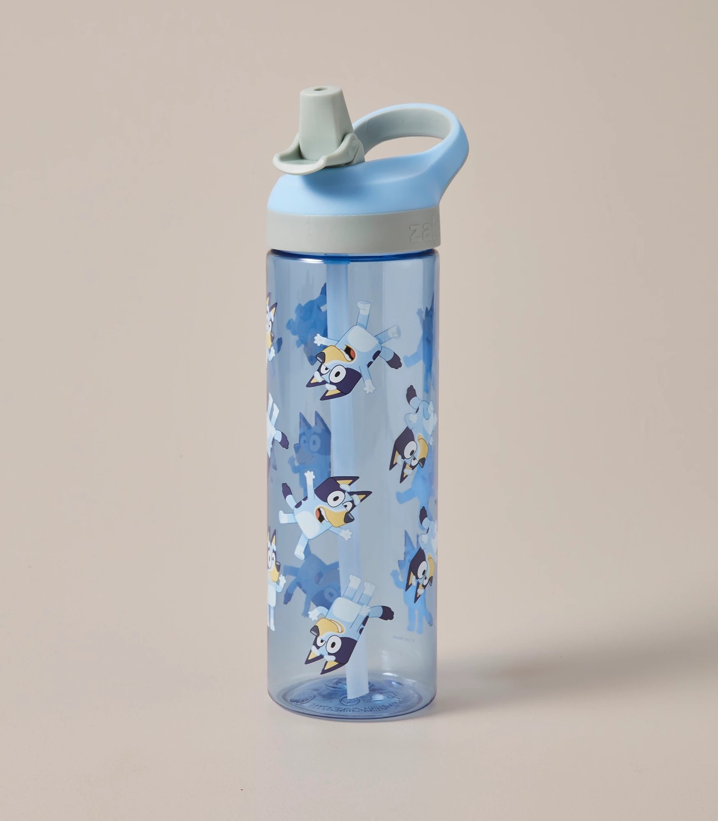 Bluey Water Bottle : Target