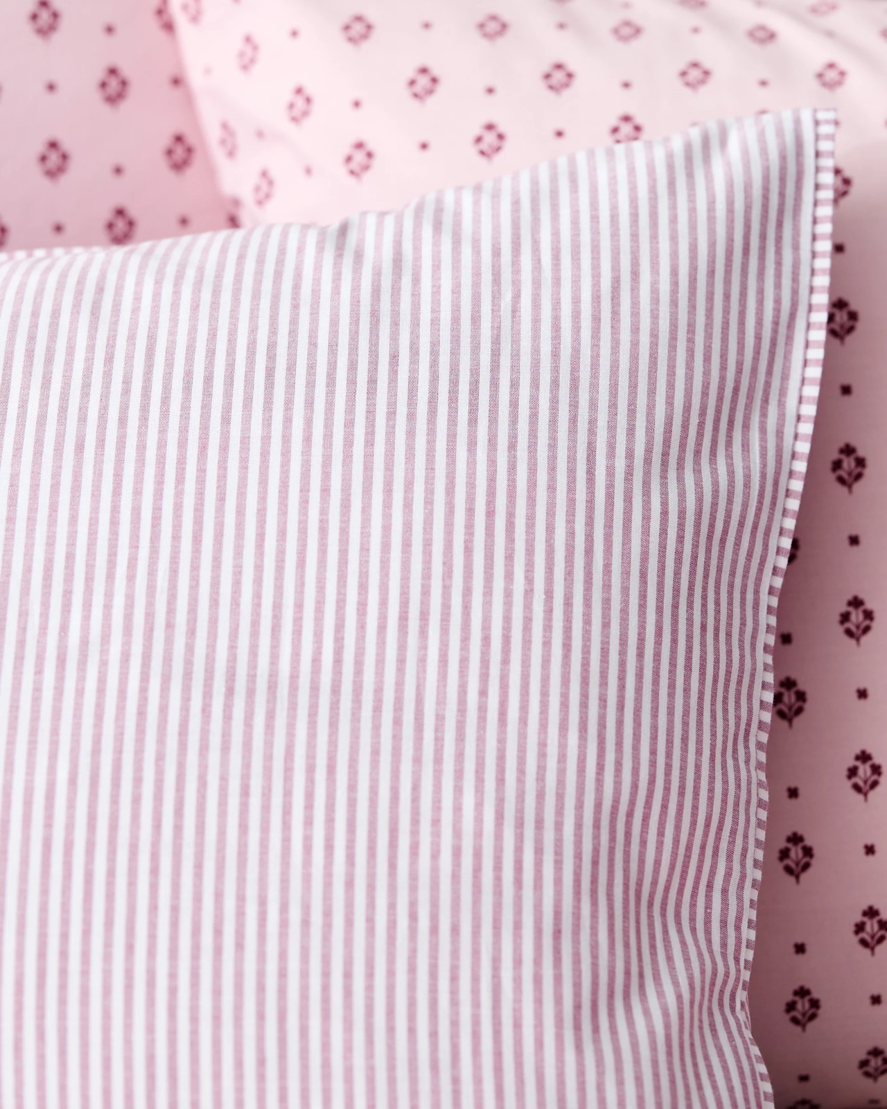 500_72183649_6+500T7218