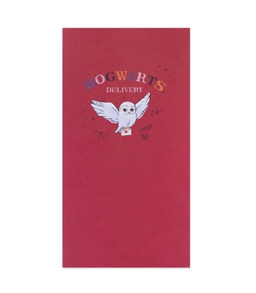 Hallmark Christmas Gift Card & Money Wallet  - Harry Potter