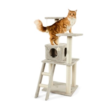 Cat Tower - Anko