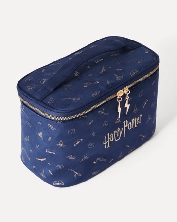Harry Potter Train Case