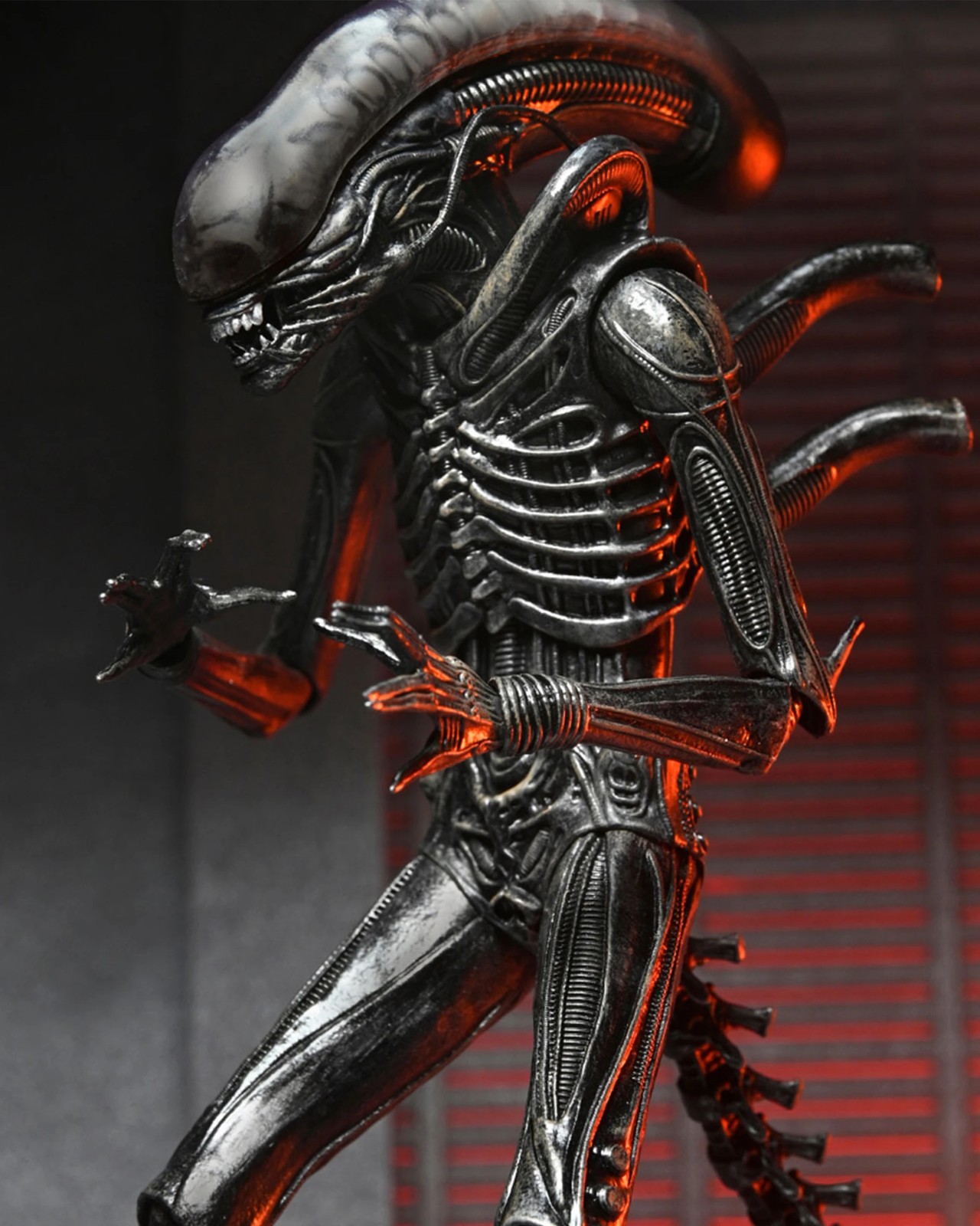 72095775-IMG-002