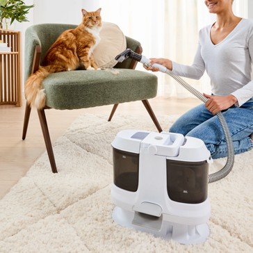 Compact Spot Cleaner - Anko