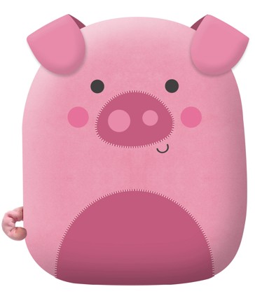 Squish and Snugg: Noisy Pig - Book