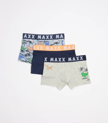 Boys Maxx Dinosaur Trunks - 3 Pack