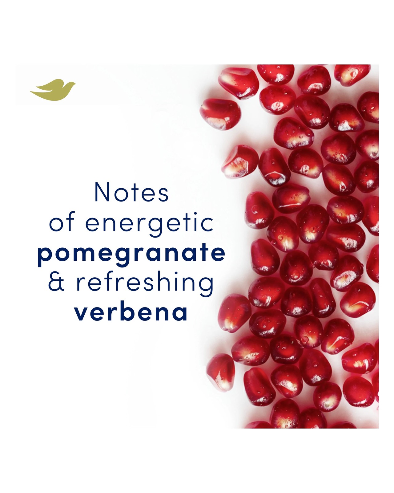 Dove Advanced Care Go Fresh Antiperspirant Deodorant Roll-On 50ml - Pro-Ceramide and Calendula, Pomegranate Scent 5 of 6
