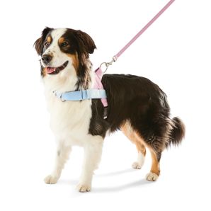 Anko Pink Custom Harness Walking Set - Extra Large thumbnail 2