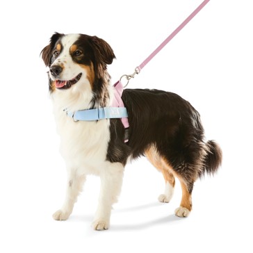 Anko Pink Custom Harness Walking Set - Large