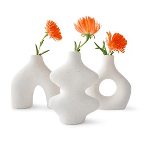 Anko 3 Pack Ceramic Mini Vases