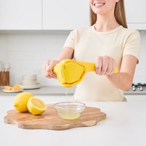 Folding Juicer - Anko product image