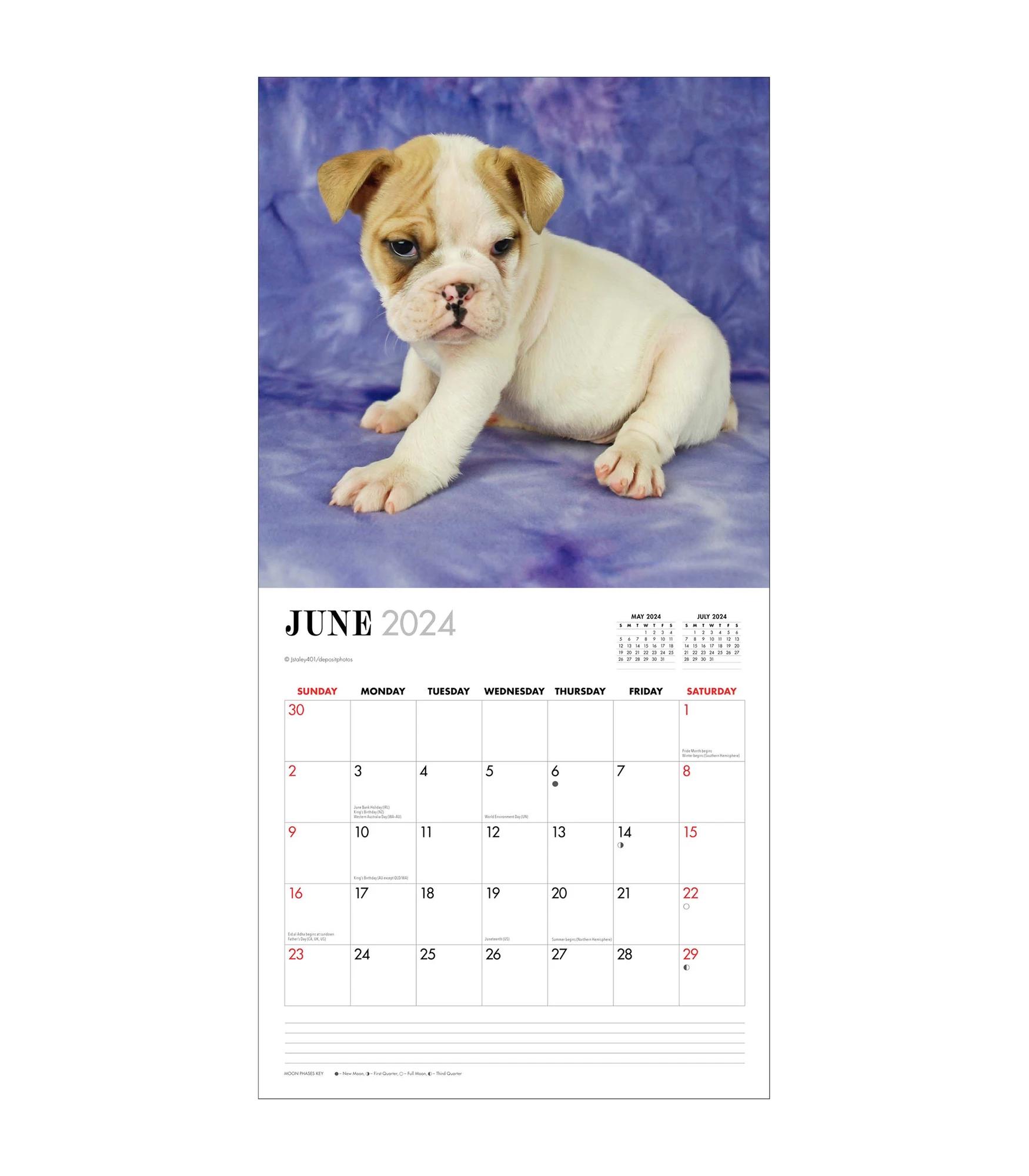 Puppy Love 2024 Square Calendar Target Australia   68484231 IMG 001