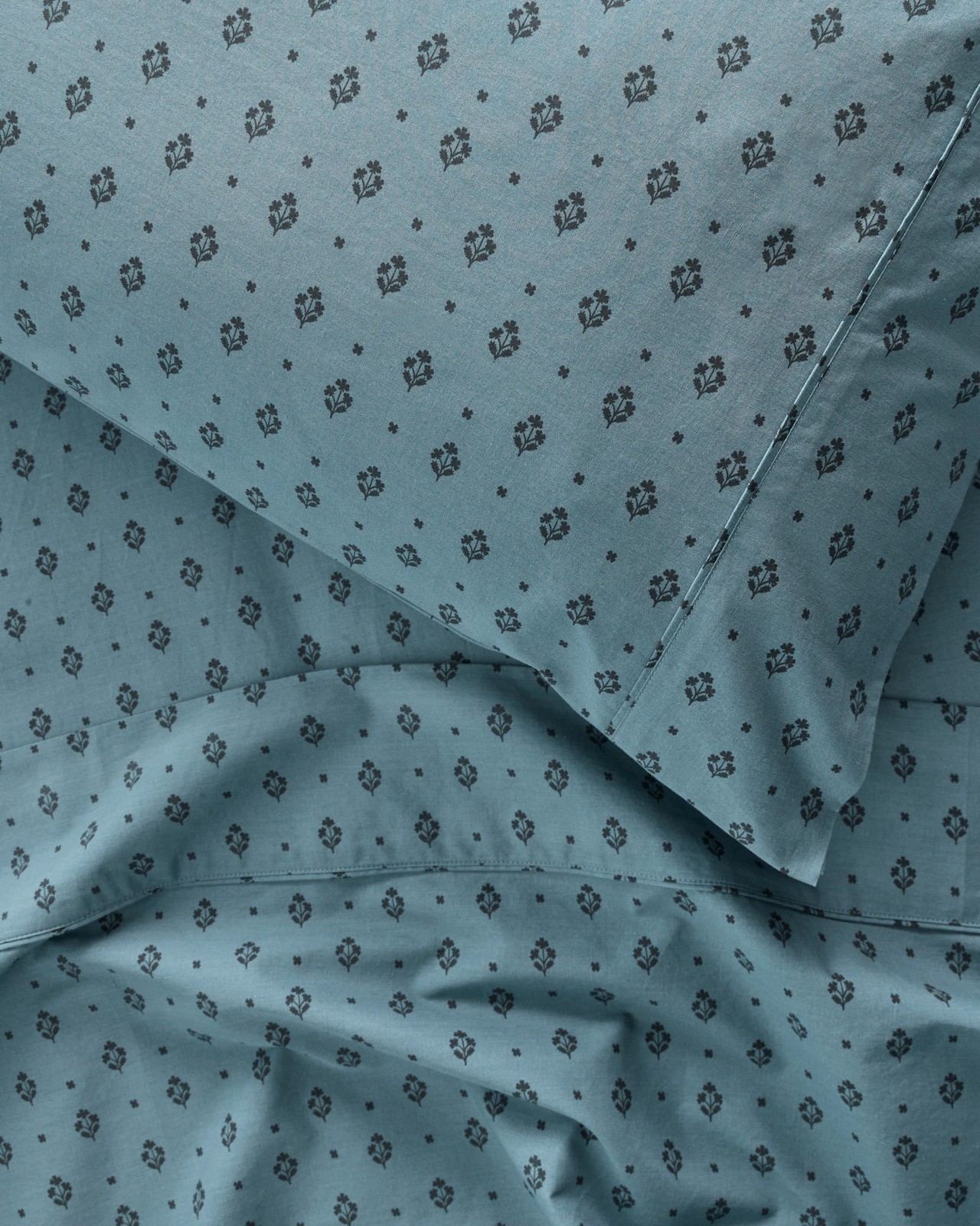 500_71952024_4+500T7195