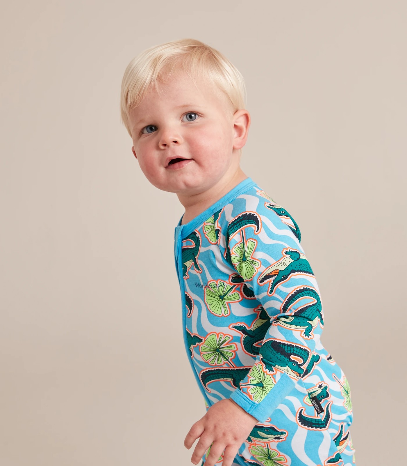 355_67239047_27+22D704