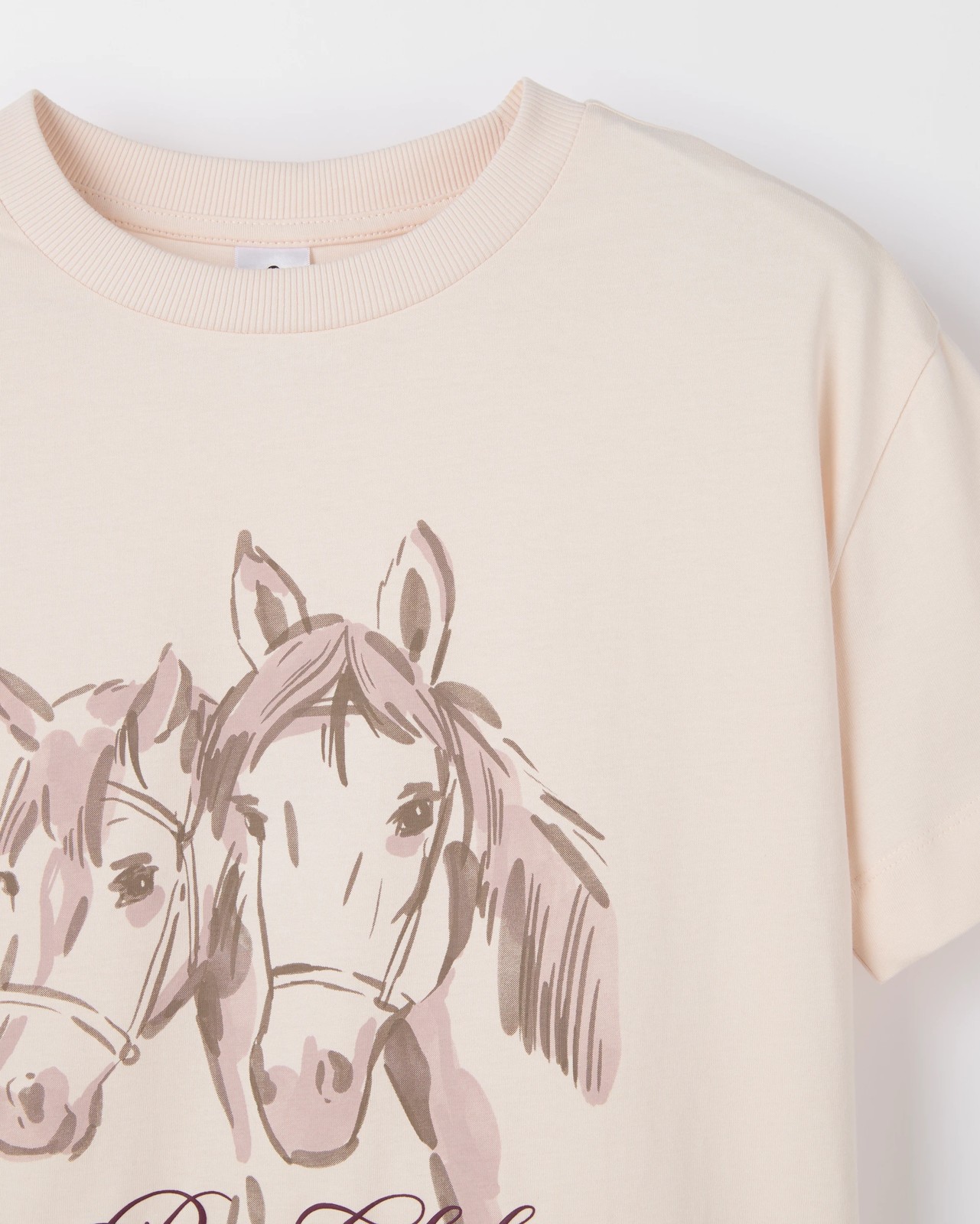 320_72078549_2+320T7207