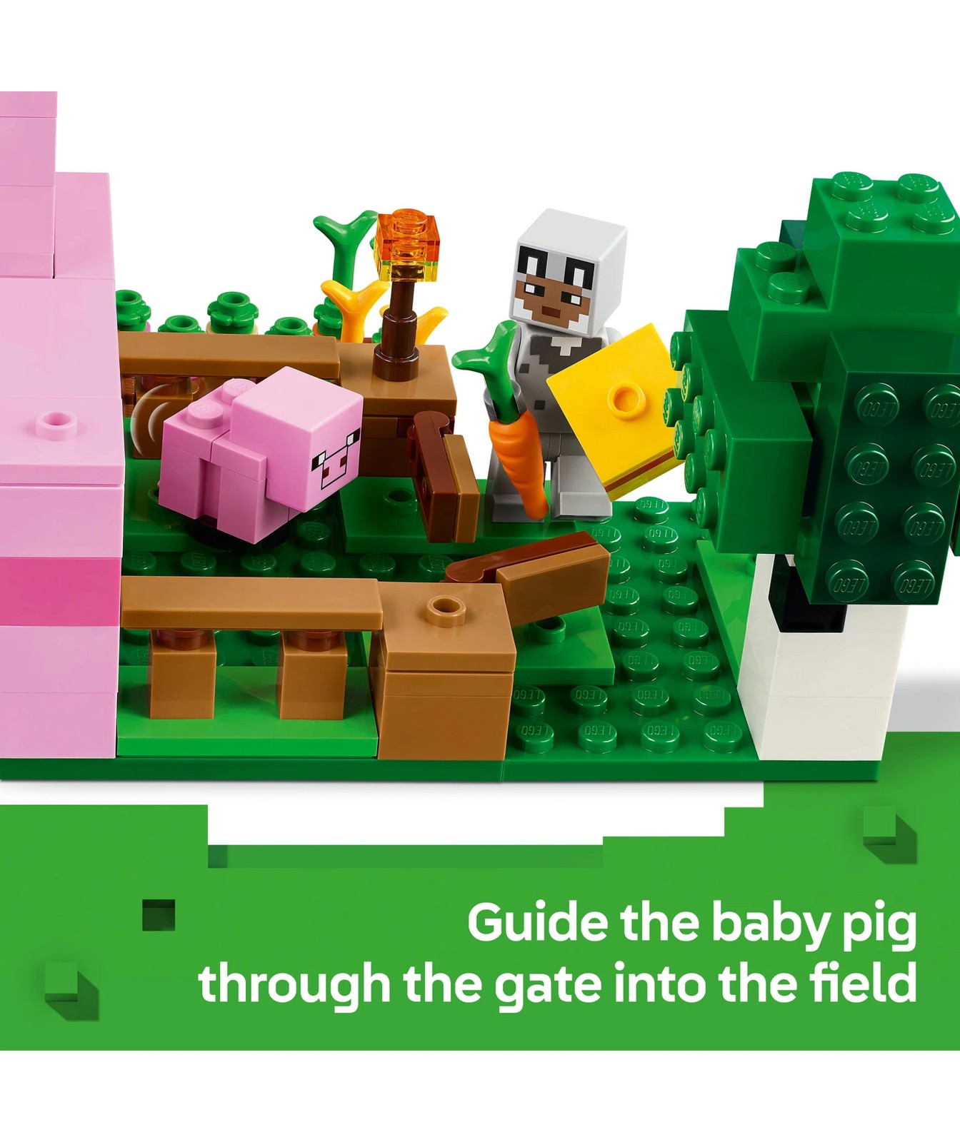 70763324-IMG-004