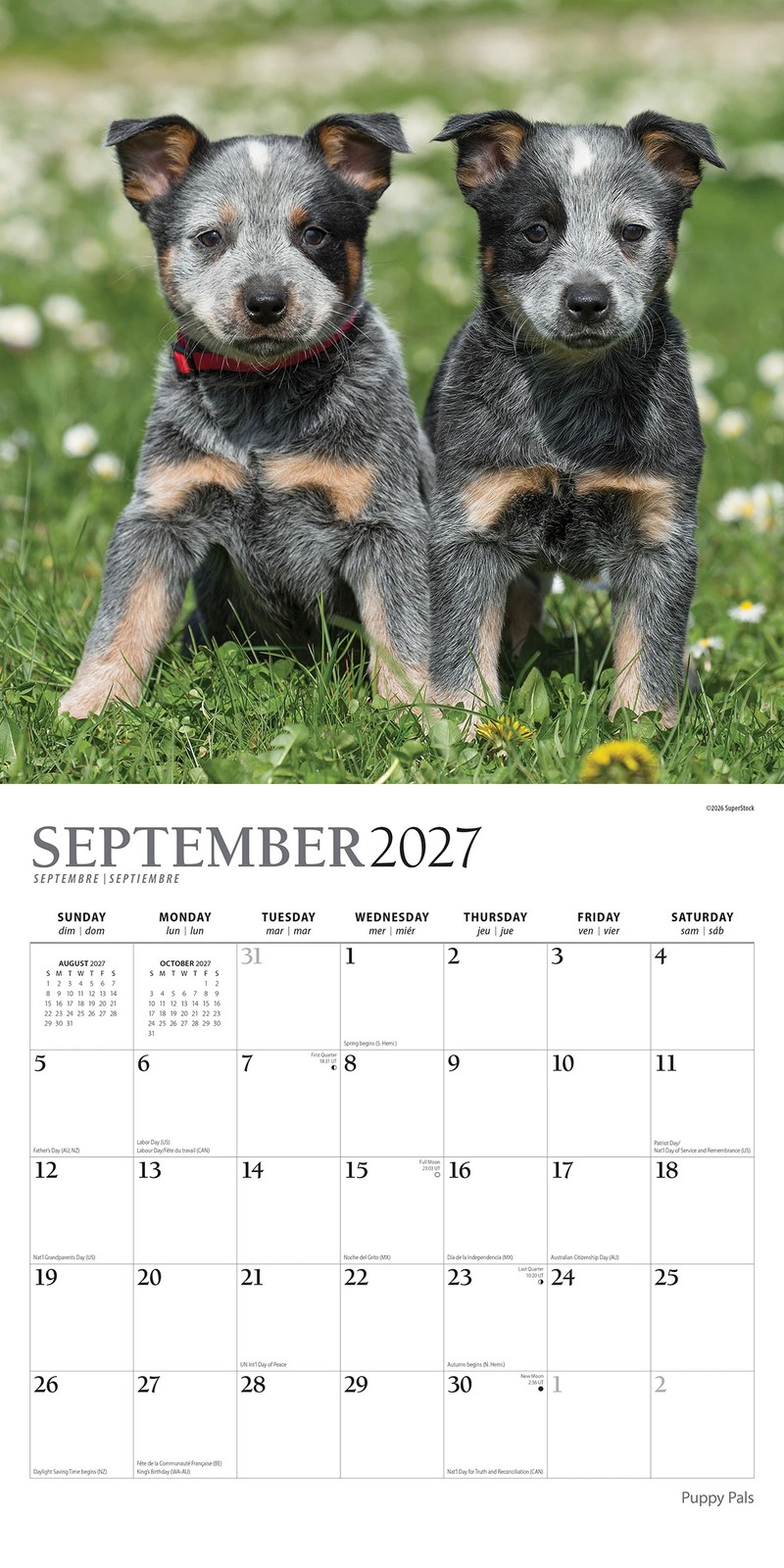 2027 16-Month Calendar - Dogs, Assorted 3 of 6