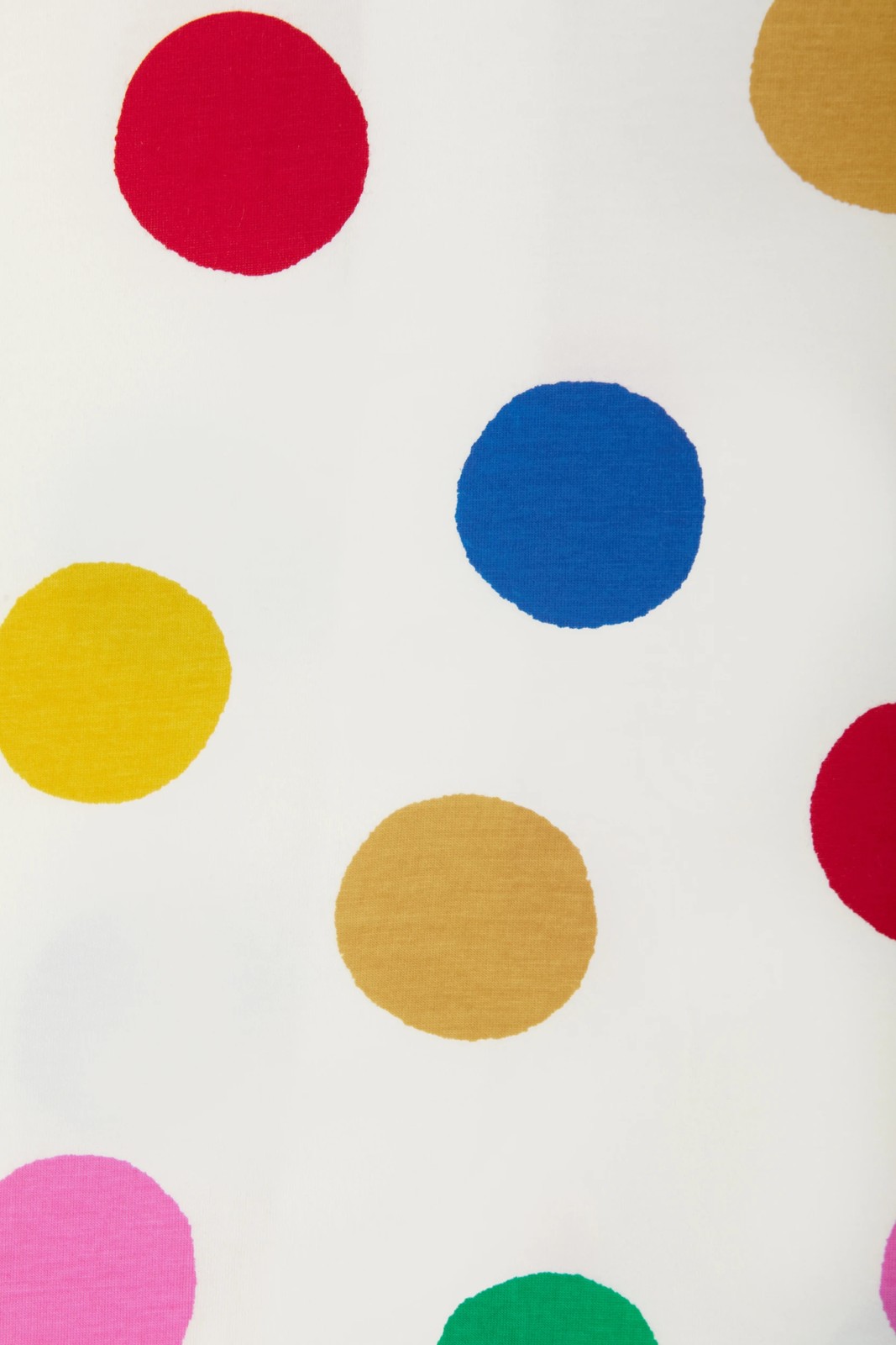 72308141-IMG-003_BZBVT_ZYG