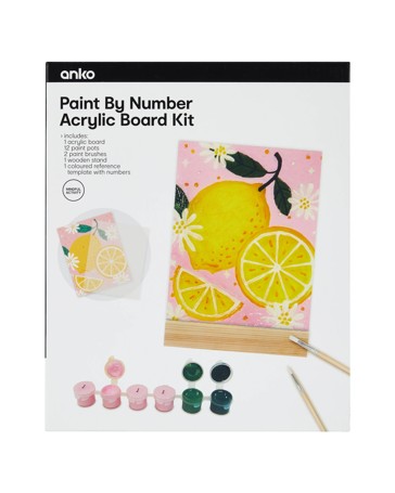 Anko Paint By Number Acrylic Board Kit