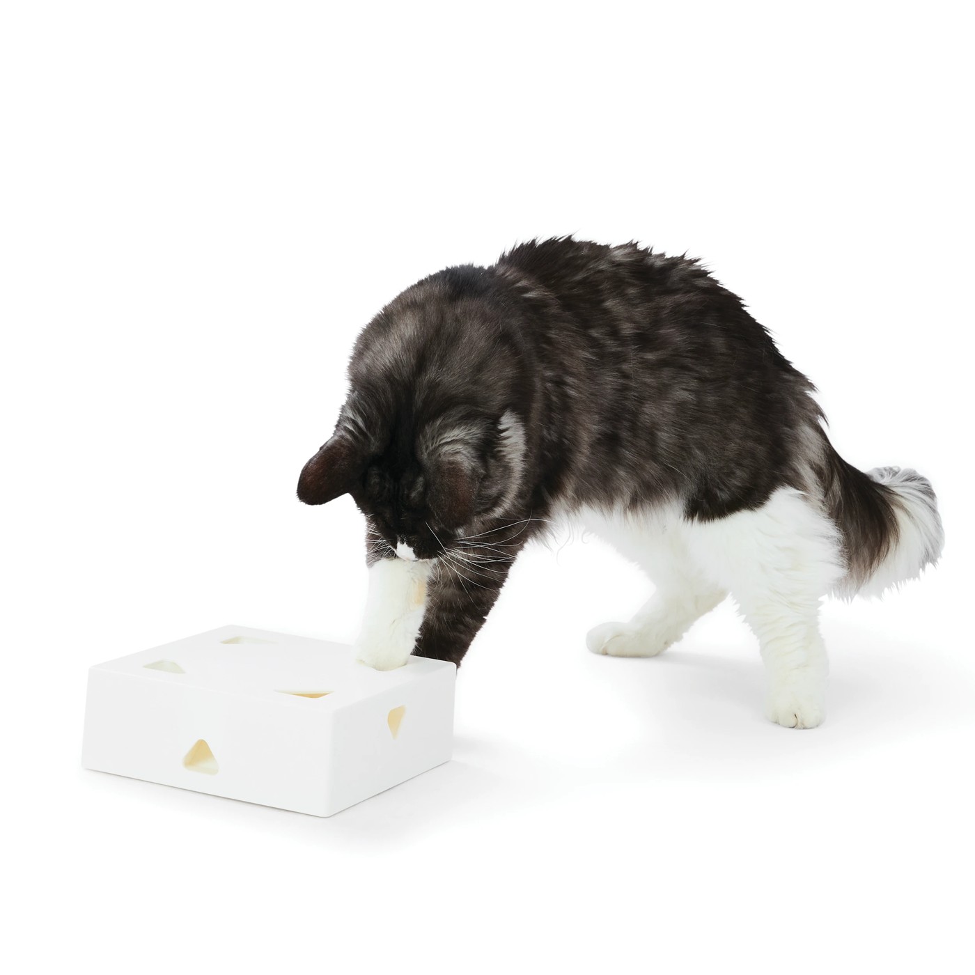 Anko Cat Enrichment Toy 2 of 5