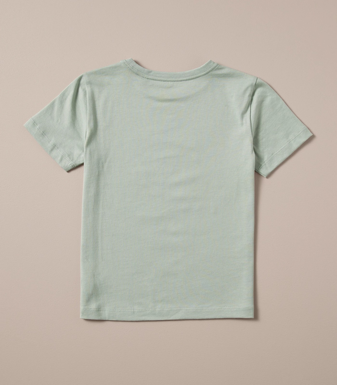 3 Pack Dinosaur T-shirts 6 of 6