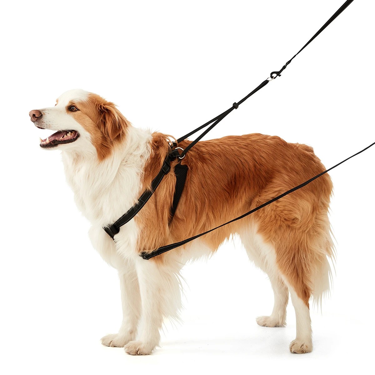 Dog No Pull Harness Anko Target Australia
