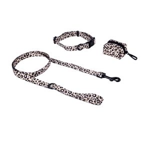 Anko Leopard Collar Walking Set - Medium