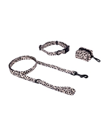 Anko Leopard Collar Walking Set - Medium