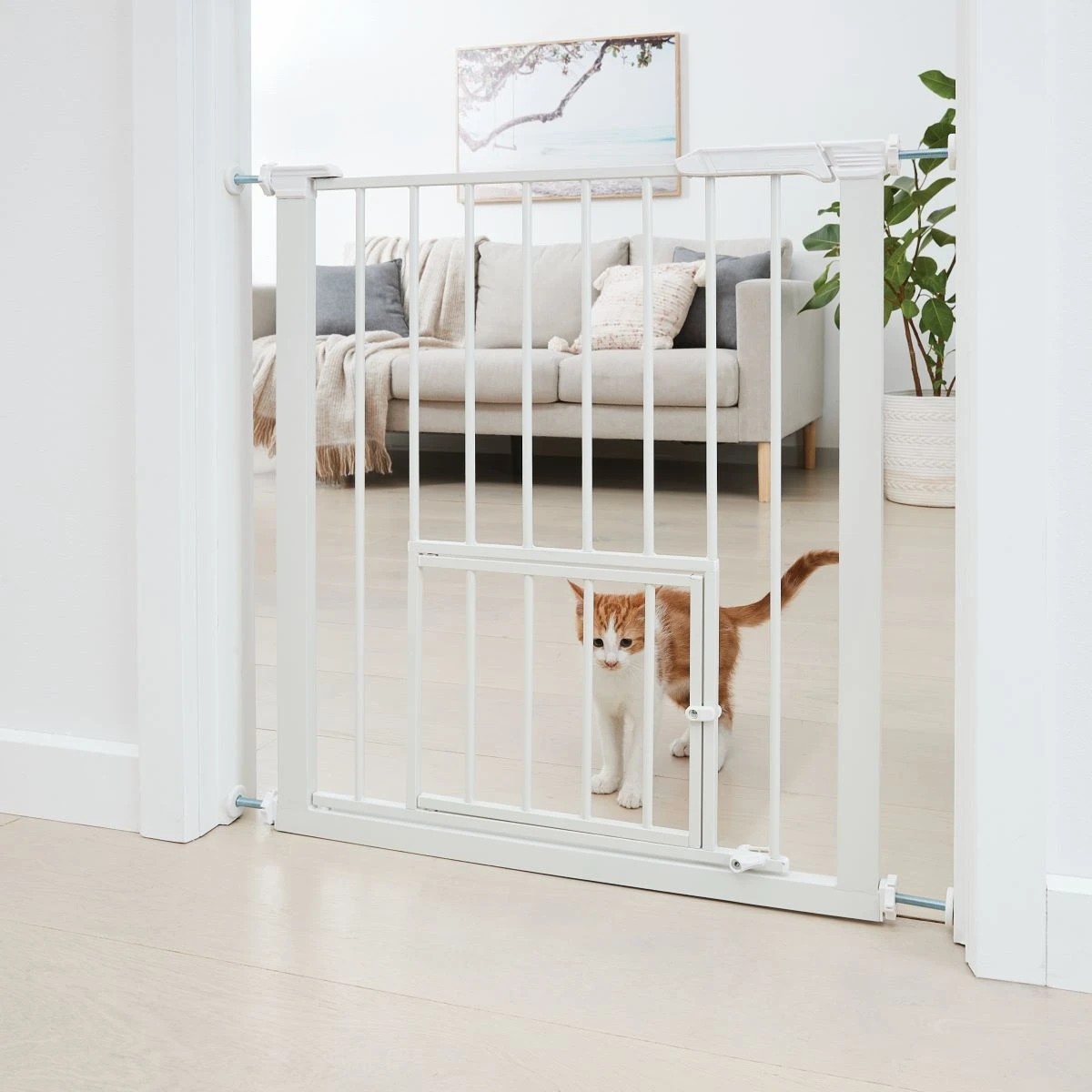 Target dog hot sale gate