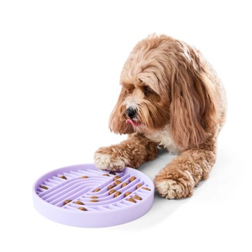 Pet Silicone Feeding Plate, Lilac - Anko