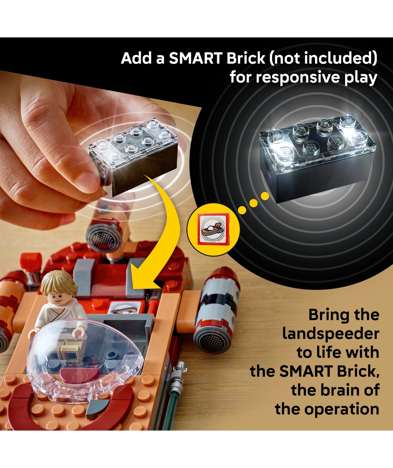 72352076-IMG-75420_05