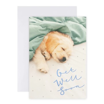 Connections from Hallmark Get Well Soon Greeting Card - Sleeping Puppy