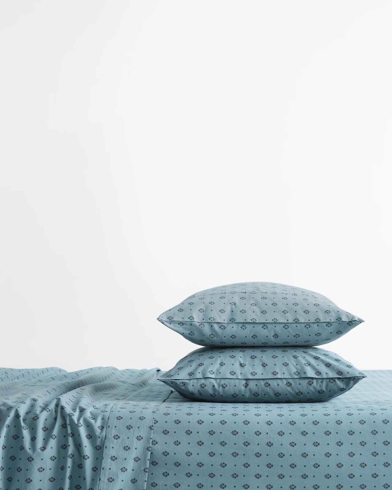 500_71952024_2+500T7195