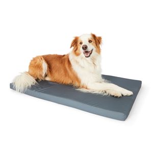 Pet Mat Memory Foam, Extra Large - Anko