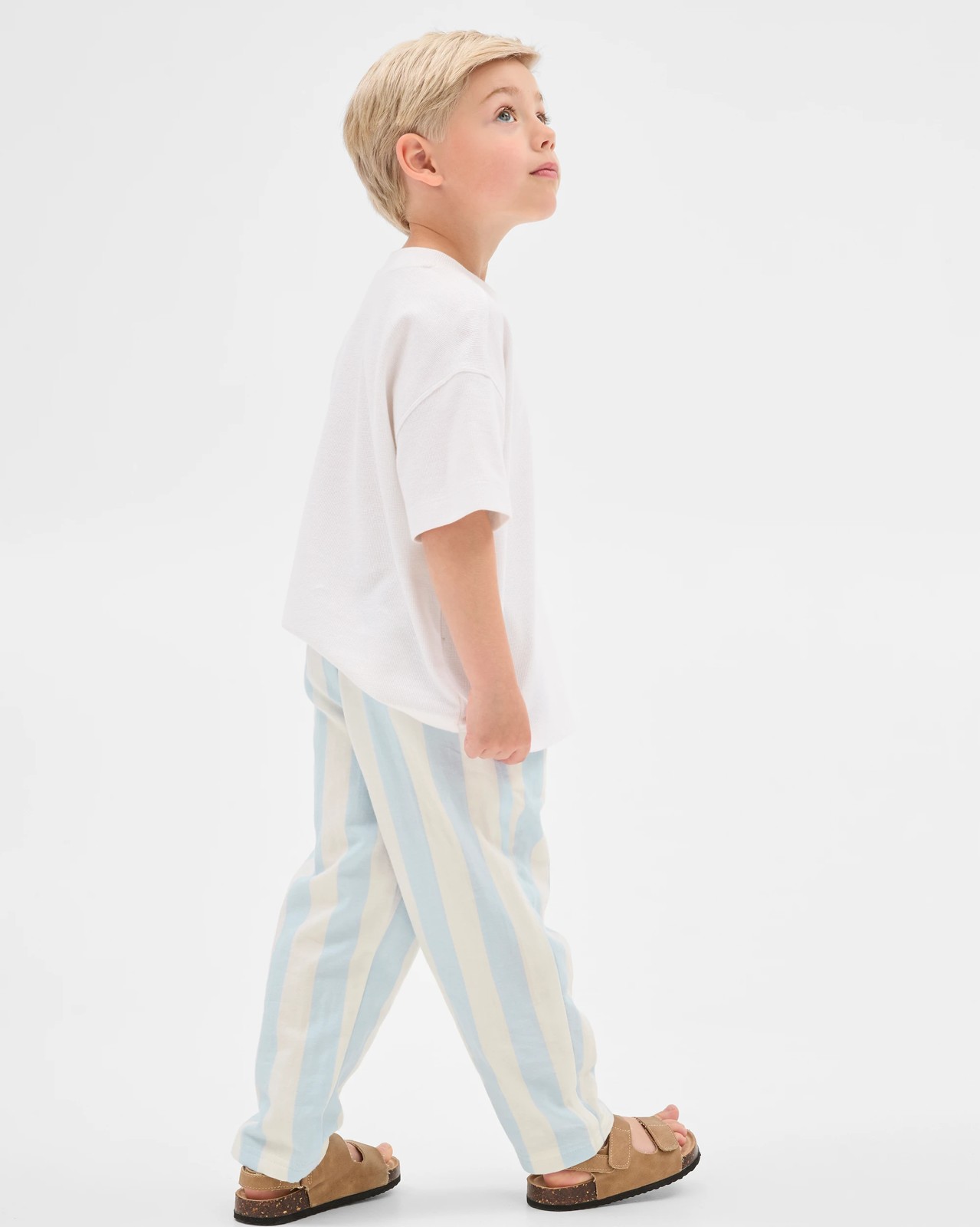 350_71830117_4+350T7183