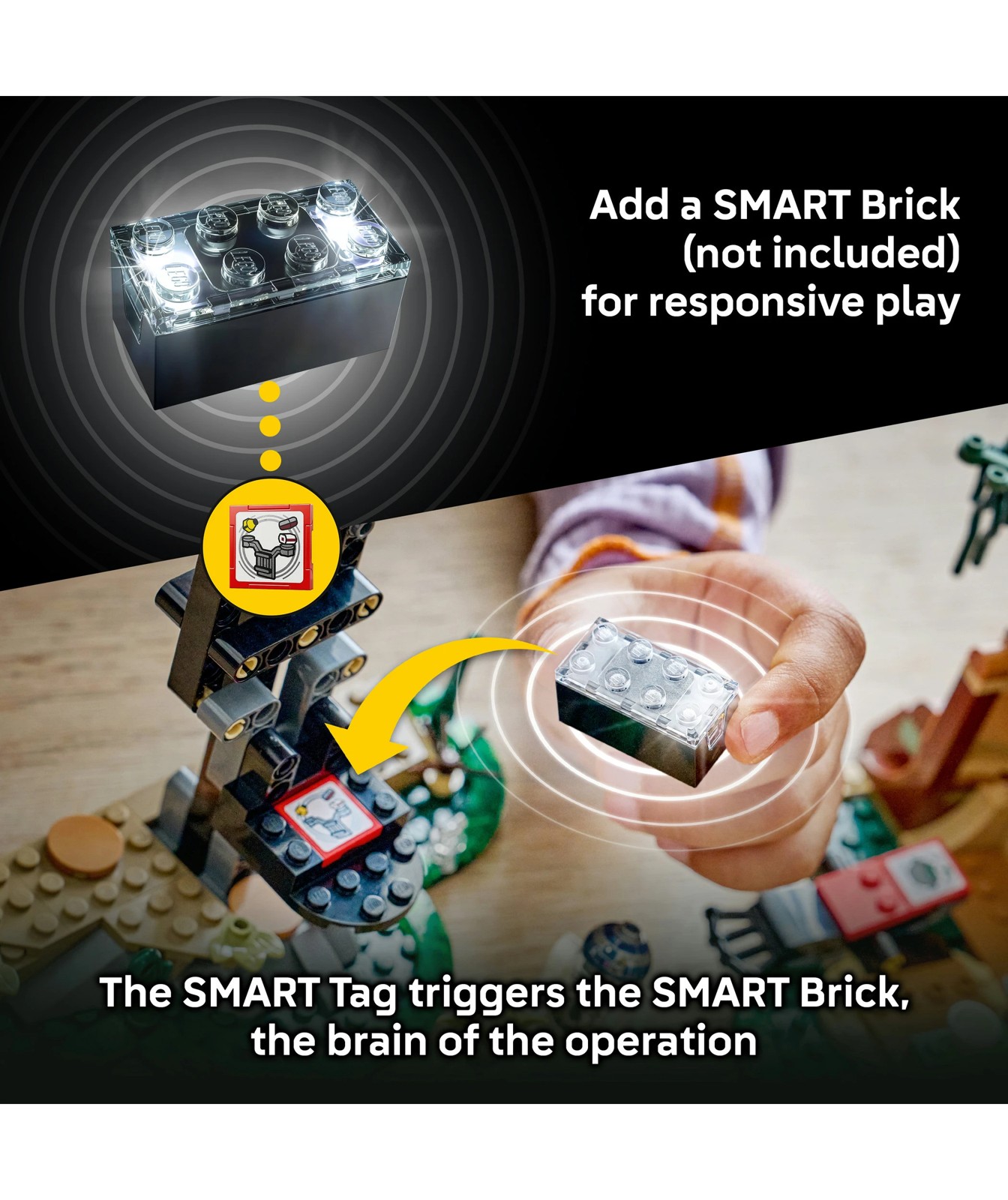 72352151-IMG-75422_05