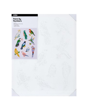 Anko Paint by Numbers - Birds