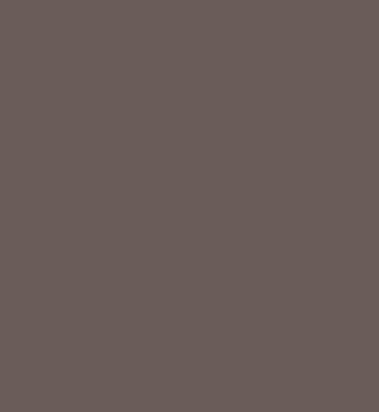 SHEGLAM Brows on Demand 2-in-1 Brow Pencil - Auburn 5 of 5