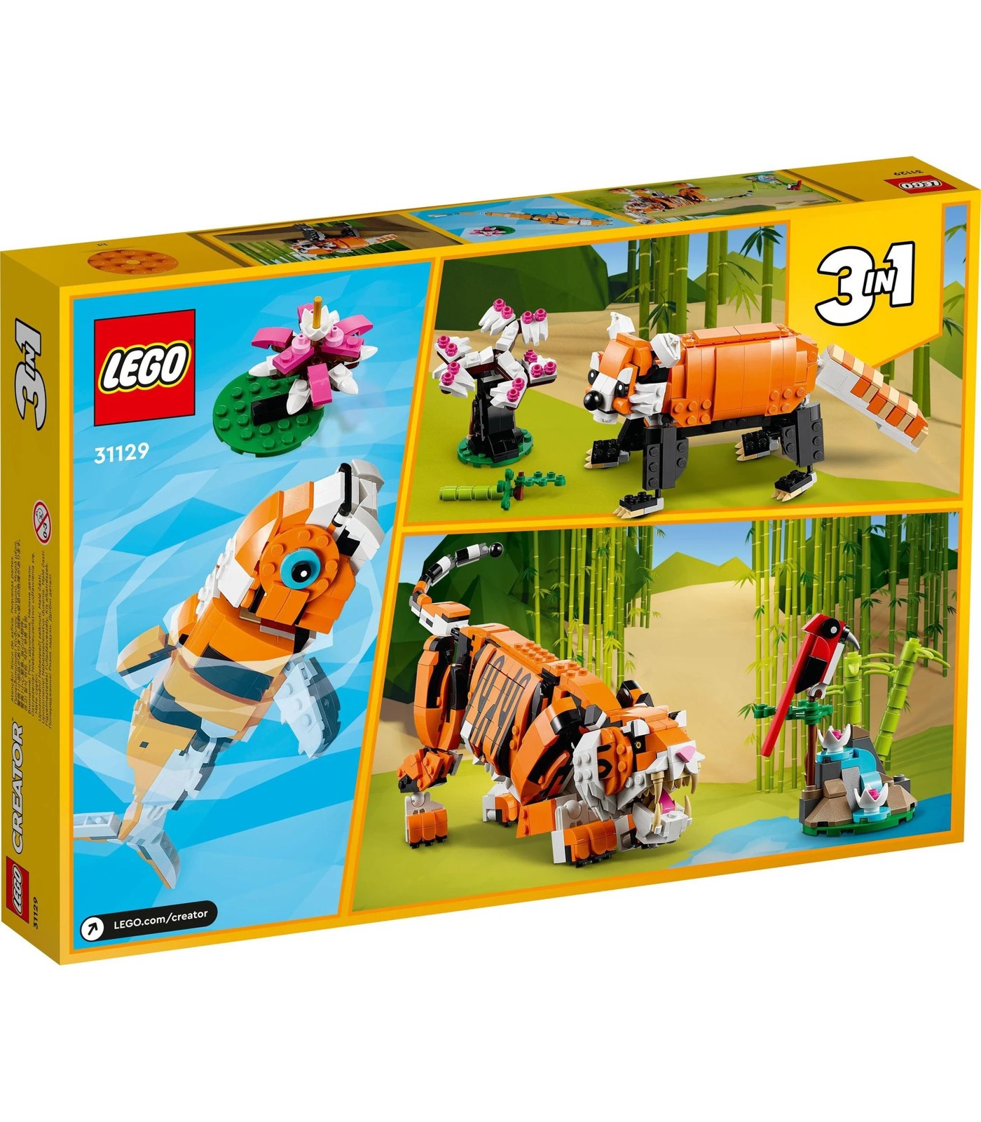 66054528-IMG-008