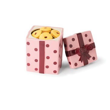Anko Present Cookie Jar