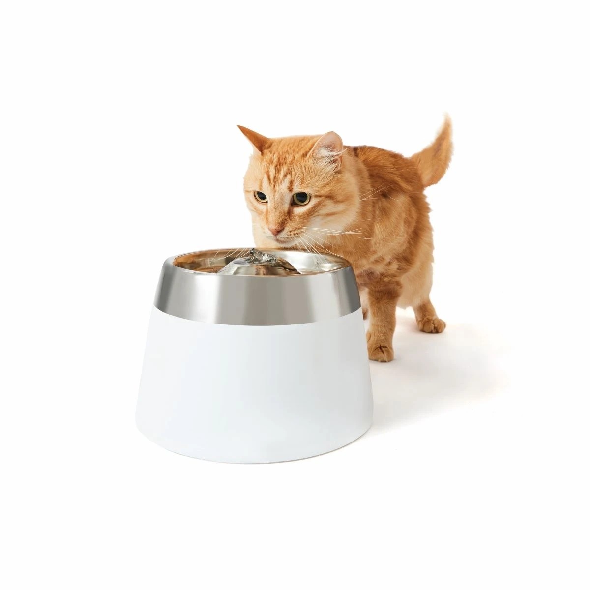 Target pet sales water fountain