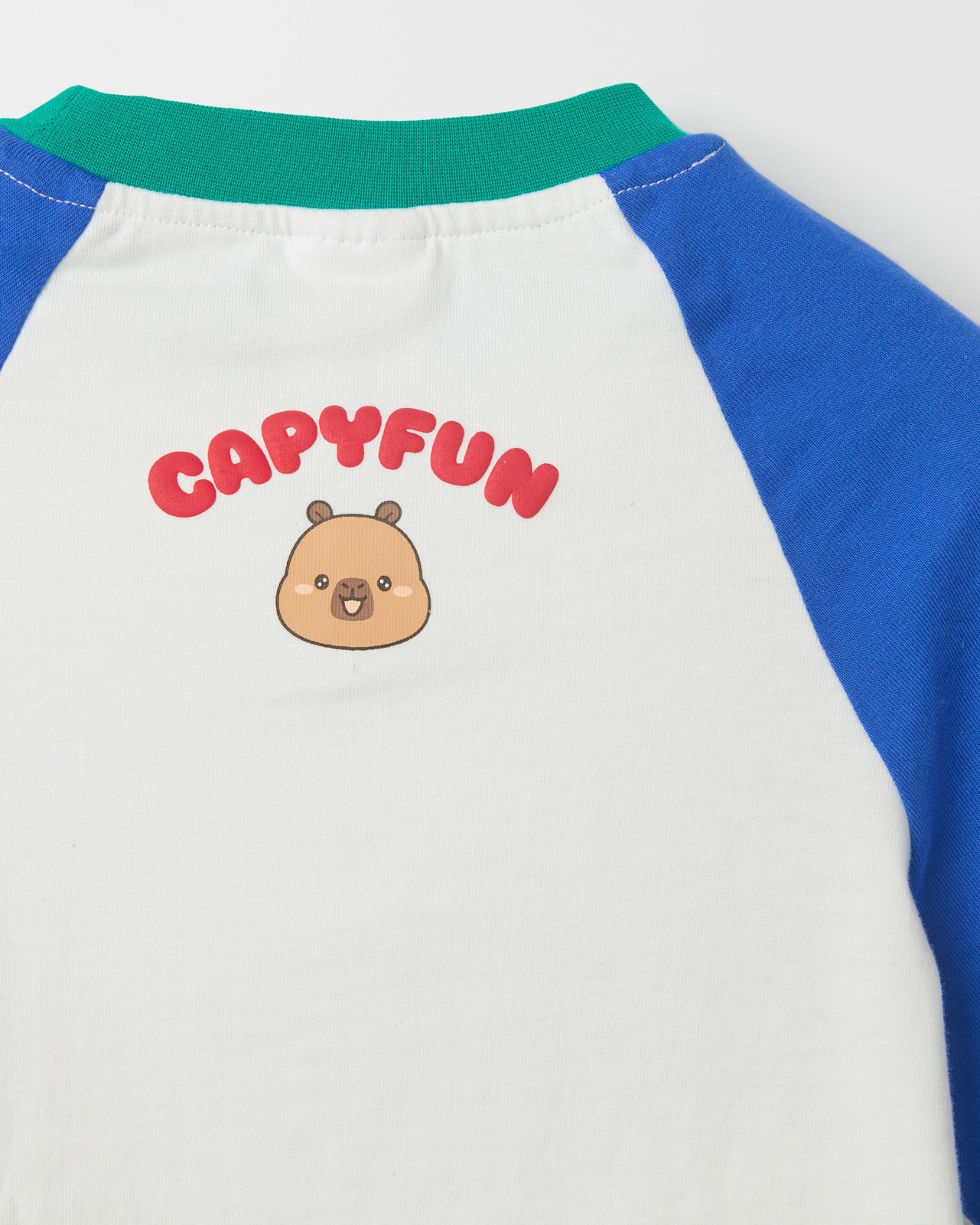 CapyFun Australian Cotton Raglan Sleeve Oversized Heavyweight T-Shirt 3 of 3