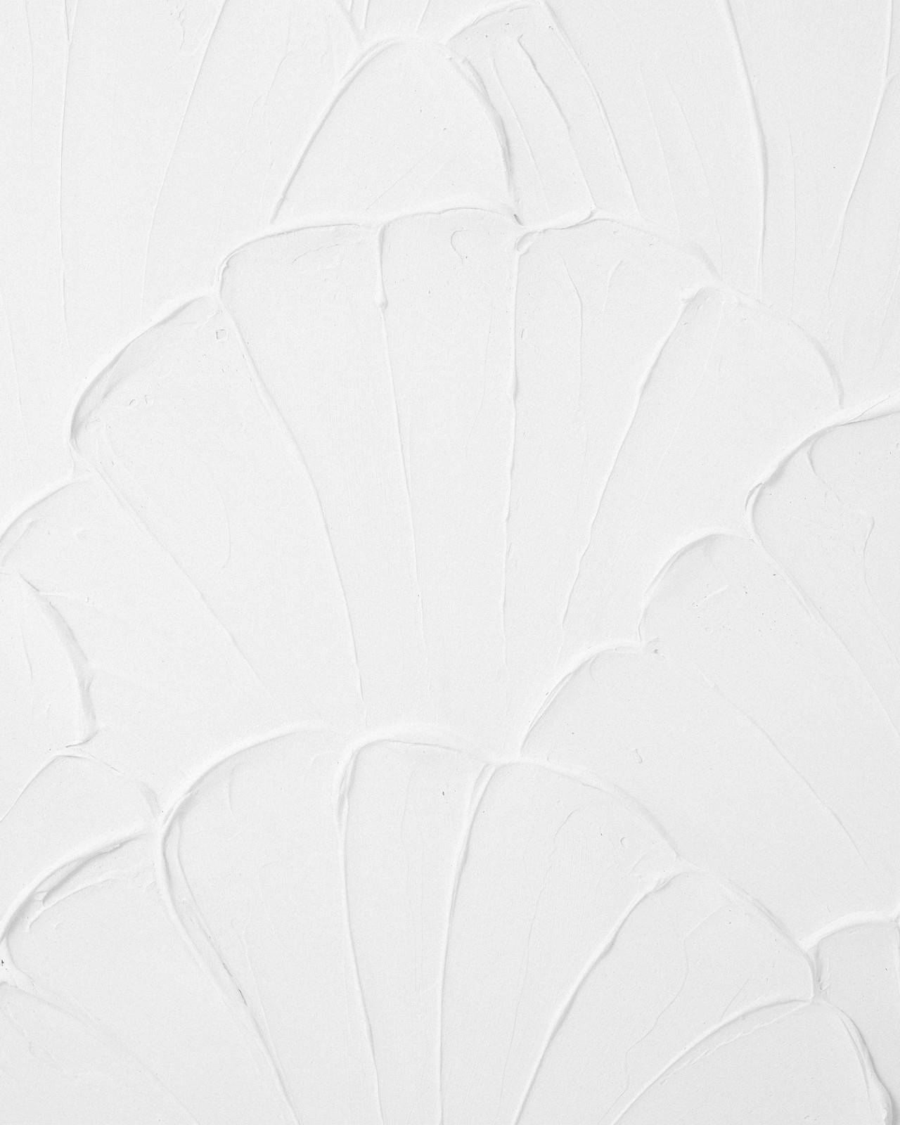 Textured Shell Framed Canvas - Anko 3 of 5