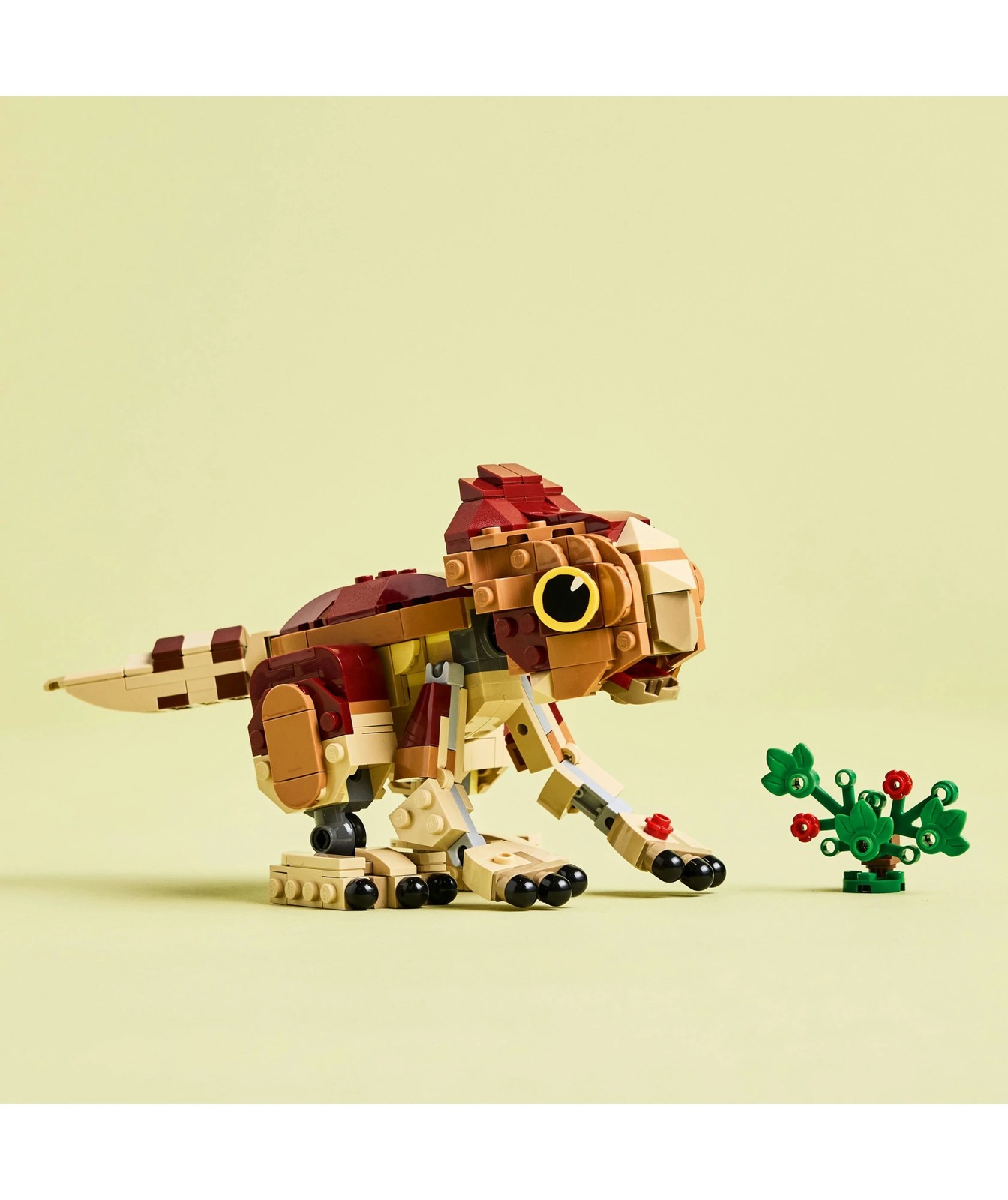 71499055-IMG-010