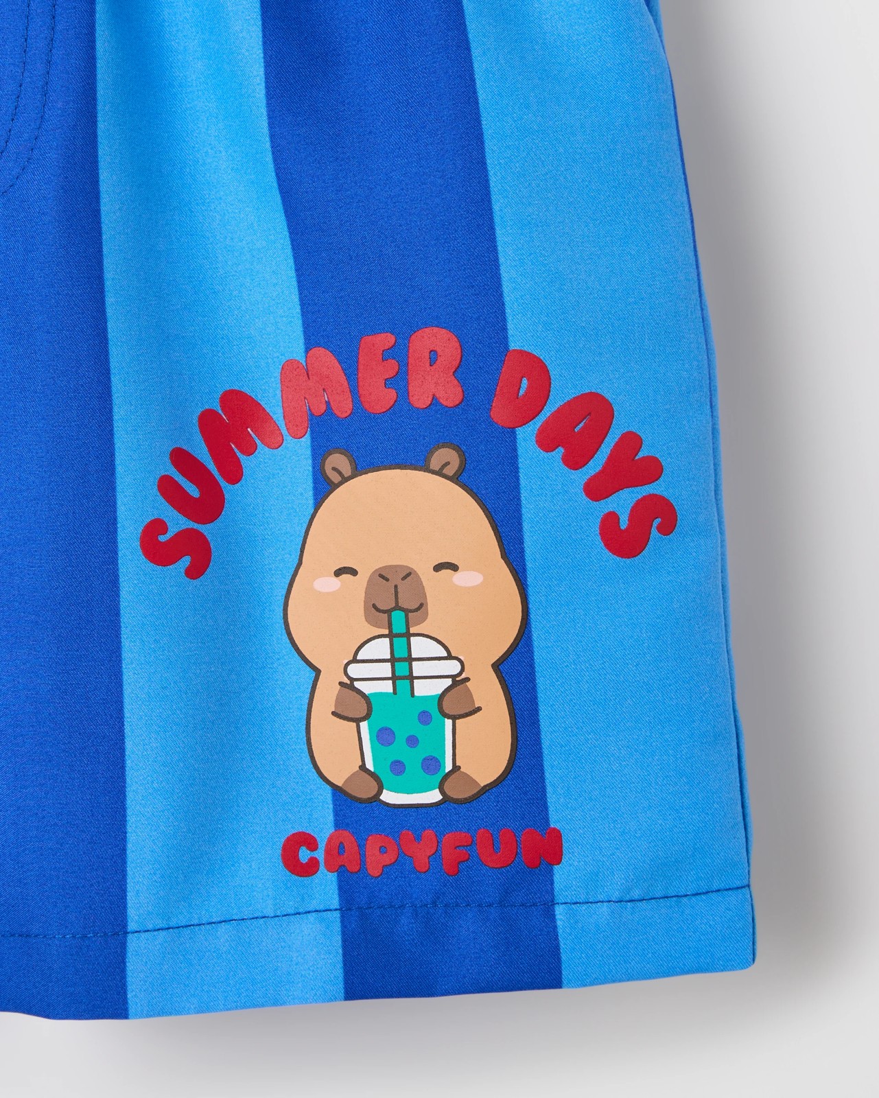 CapyFun Swim Boardshorts 3 of 3