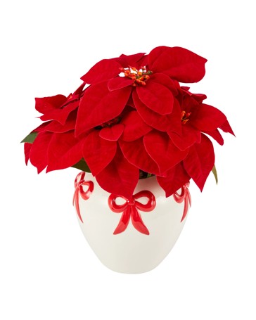 Anko Christmas Artificial Poinsettia in Pot