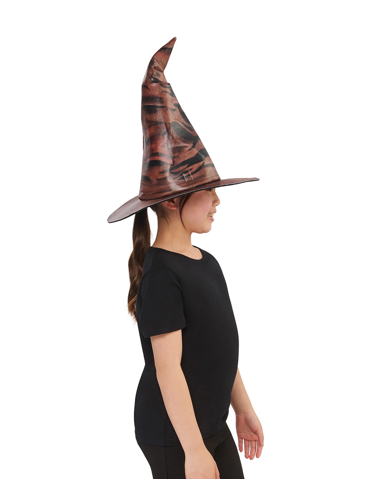 Harry Potter Sorting Hat with House Badges 5 of 5