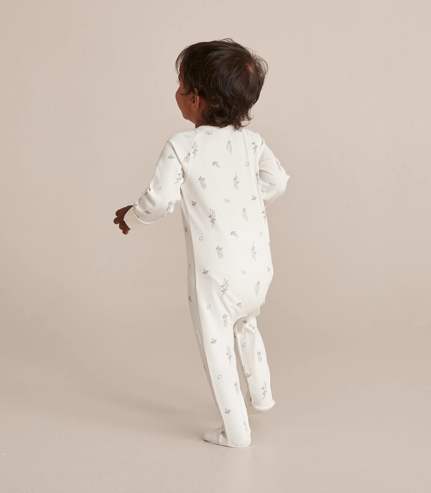 355_67243266_9+22279A