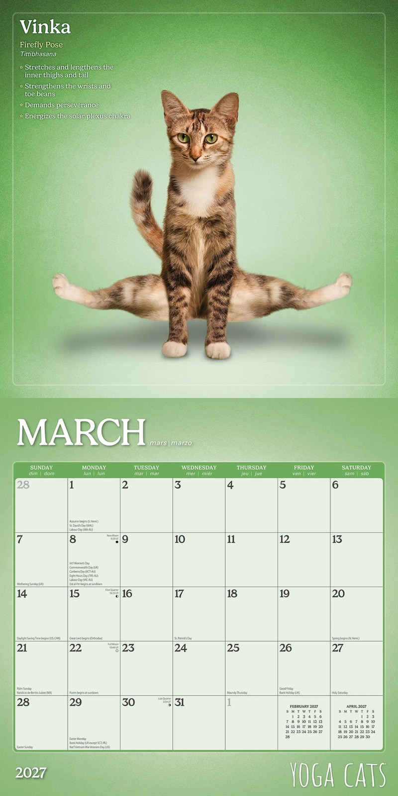 Cats 2027 16-Month Calendar - Assorted 6 of 6