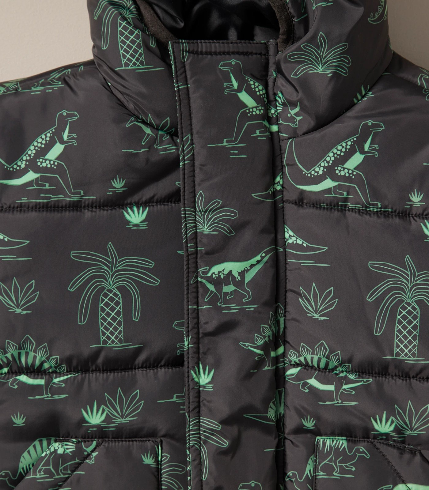 Dinosaur jacket target shop