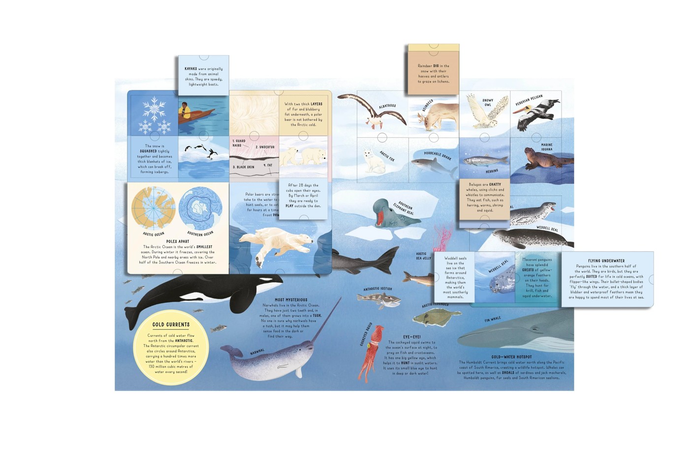 Lift-the-Flap Encyclopaedia of Oceans: 200 Flaps to Explore - Book 5 of 5